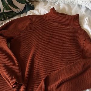 rust colored turtleneck